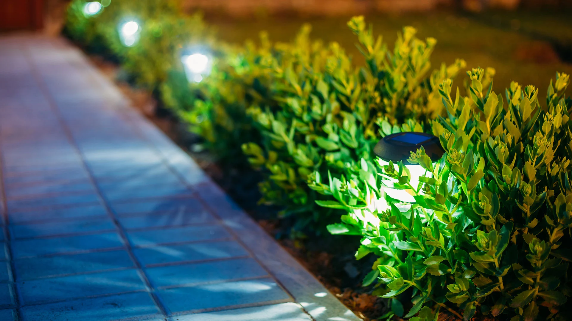 Use outdoor lighting to illuminate walkways and spotlight landscape plants.