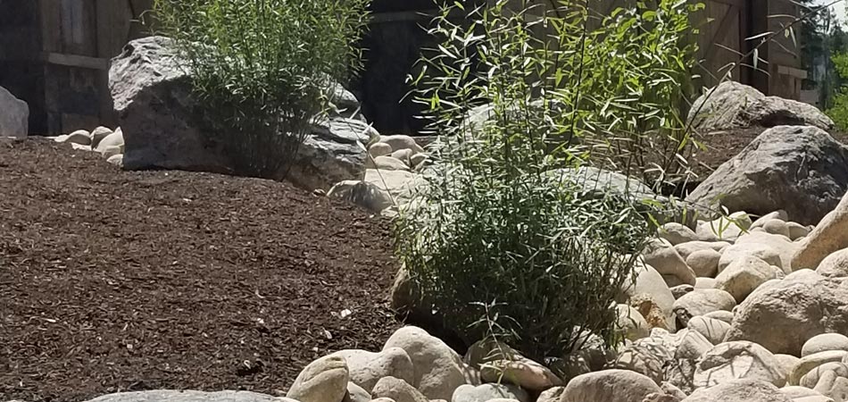 Among the ground cover options we offer to clients in Tabernash is decorative rock.