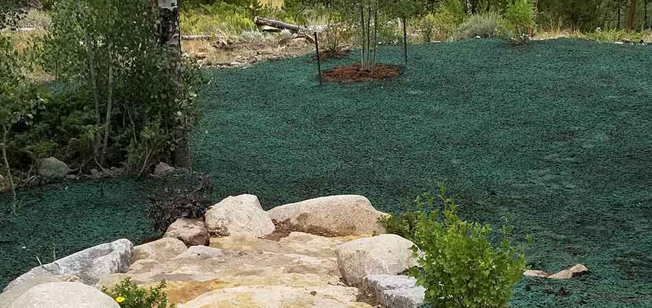 We have just completed hydroseeding services for a large property owner in Winter Park.