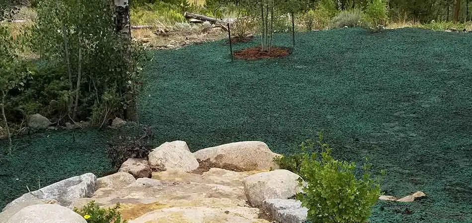 We have just completed hydroseeding services for a large property owner in Winter Park.